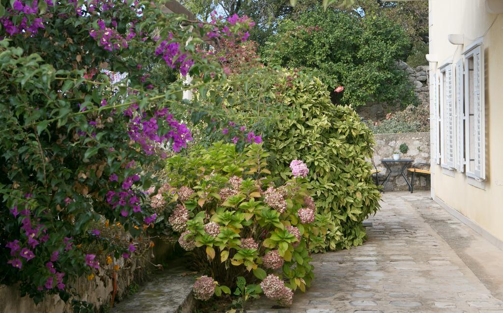 Villa Bona Dubrovnik Extérieur photo